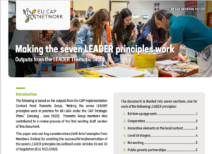 <strong>Rapport l’Eu Cap Network sur la mise en oeuvre les principes de LEADER</strong>